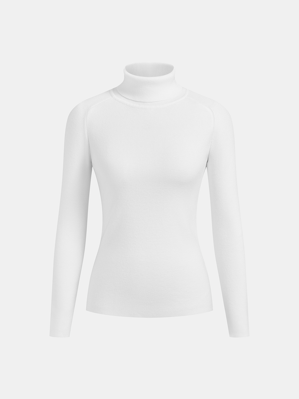Contrast Piping Turtleneck Sweater